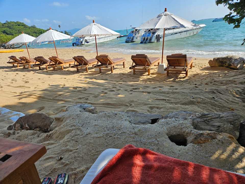 Strand Zazen Boutique Resort & Spa