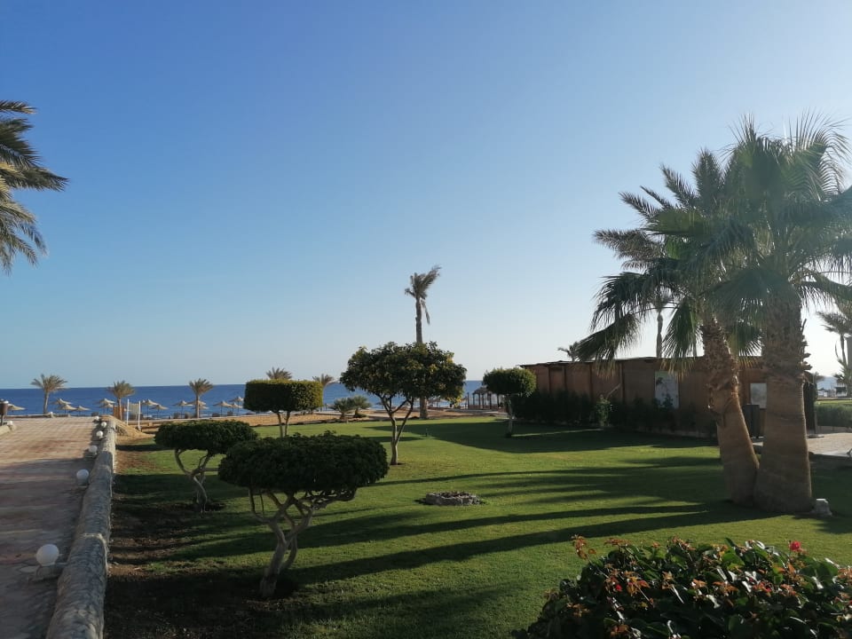 Gartenanlage Three Corners Sea Beach Resort