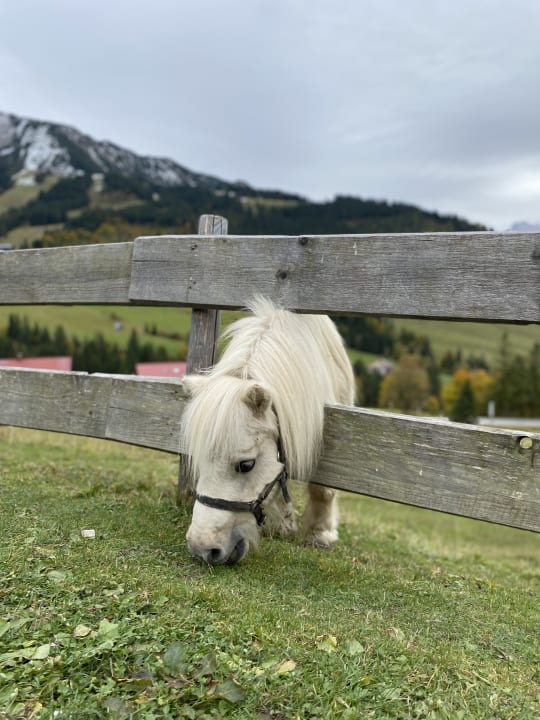 Sonstiges Oberjoch - Familux Resort