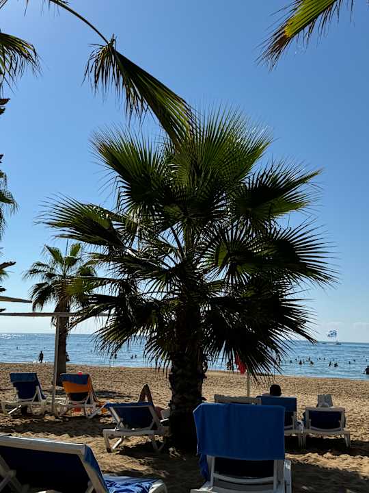 Strand Hotel Süral Resort