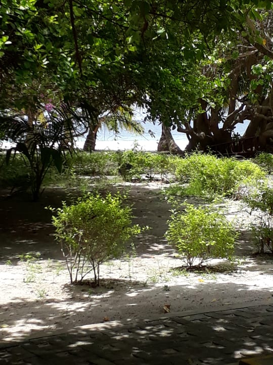 Gartenanlage Adaaran Select Meedhupparu Island Resort - Premium All Inclusive