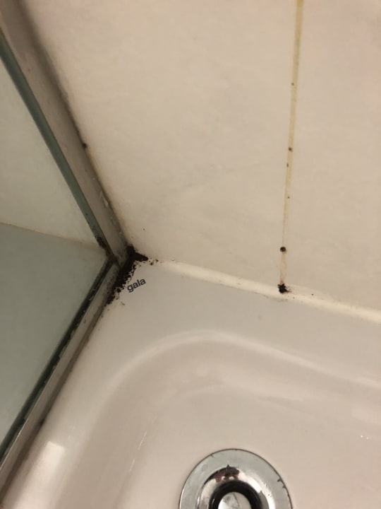 Zimmer Hipotels Mediterraneo Club