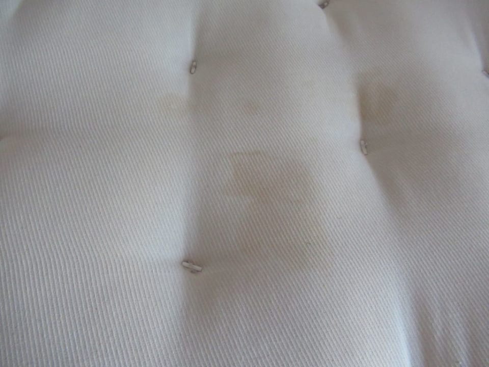 Zimmer allsun App.-Hotel Albatros