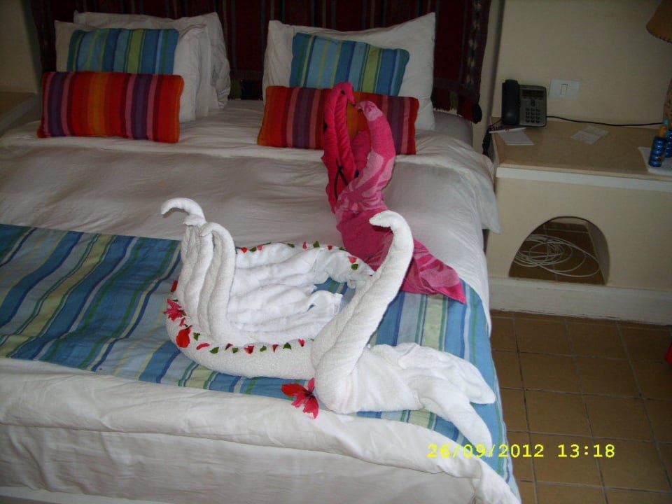 Einfach immer wieder schön Pickalbatros Sands Hotel - Port Ghalib