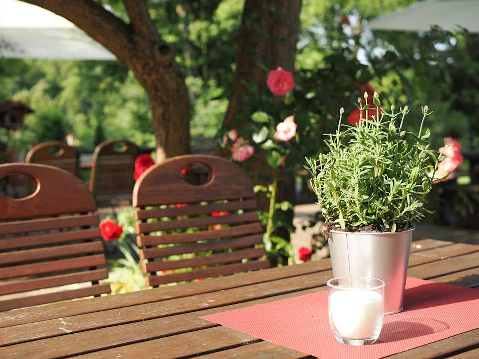 Gartenanlage Landhotel Waldheim