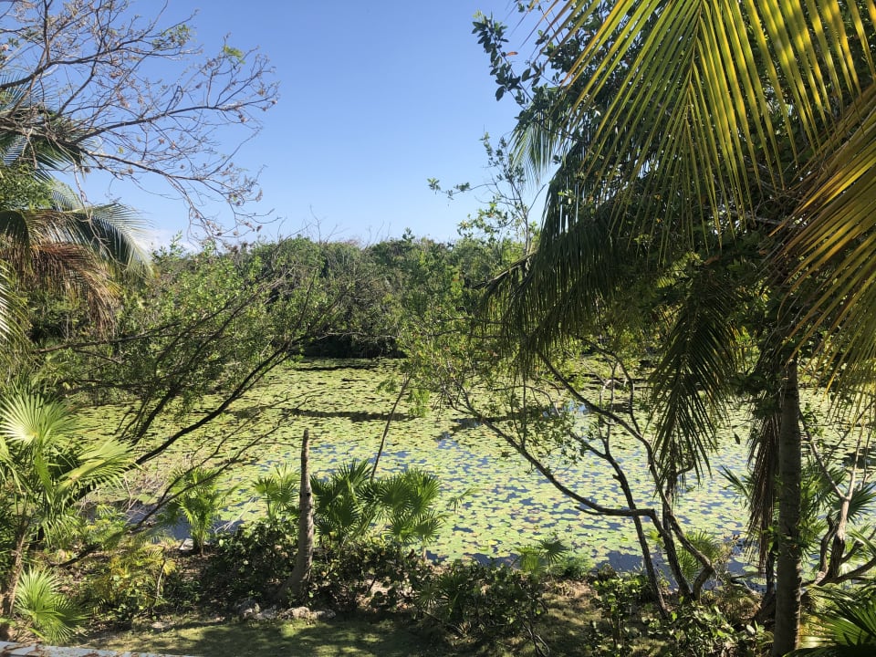 Garten Blue Diamond Luxury Boutique Hotel