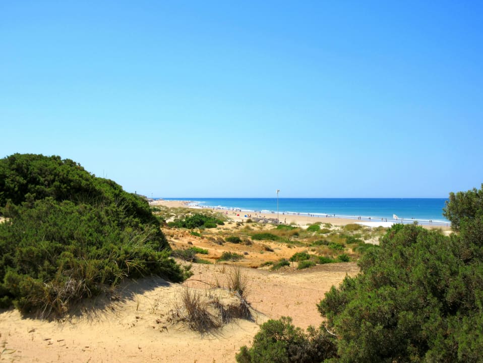 Dünenstrand Hipotels Playa la Barrosa