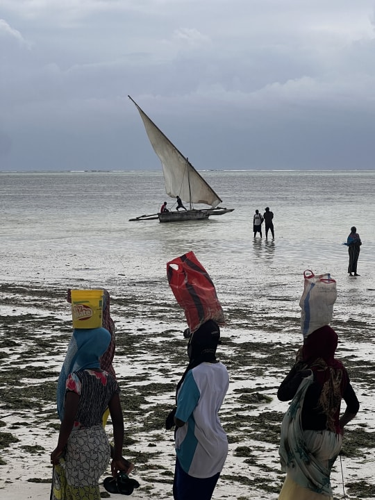 Strand TUI Blue Bahari Zanzibar