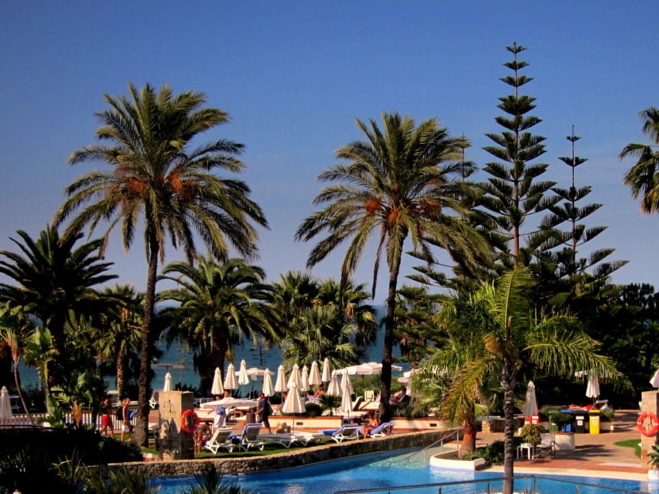 Pool Fuerte Conil-Resort