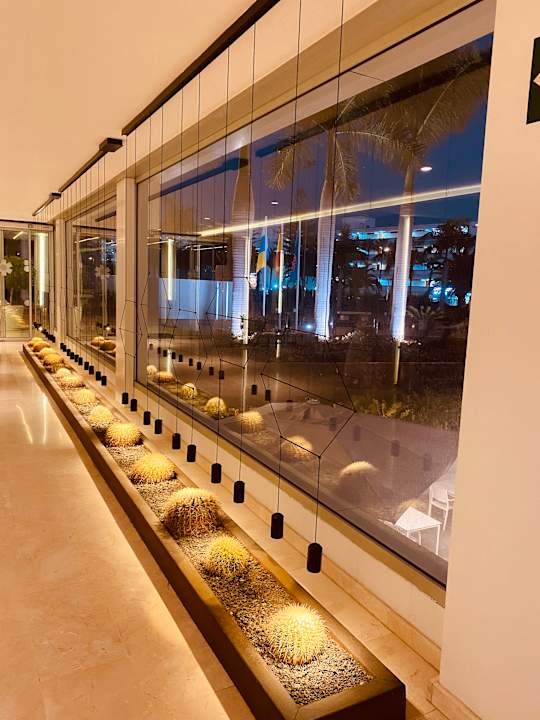Lobby alltoura Club Hotel Akeah Broncemar