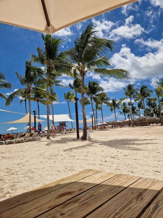 Strand Dreams Dominicus La Romana