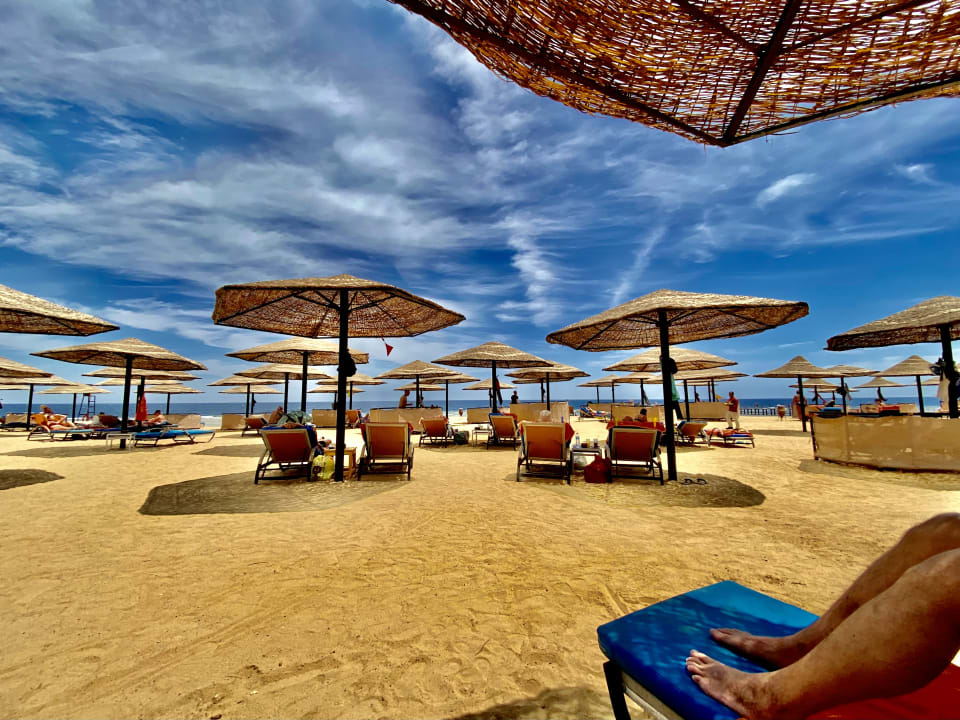 Pool Pickalbatros Palace Hotel-Port Ghalib