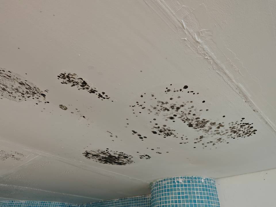 Pool Hotel Mariant Park