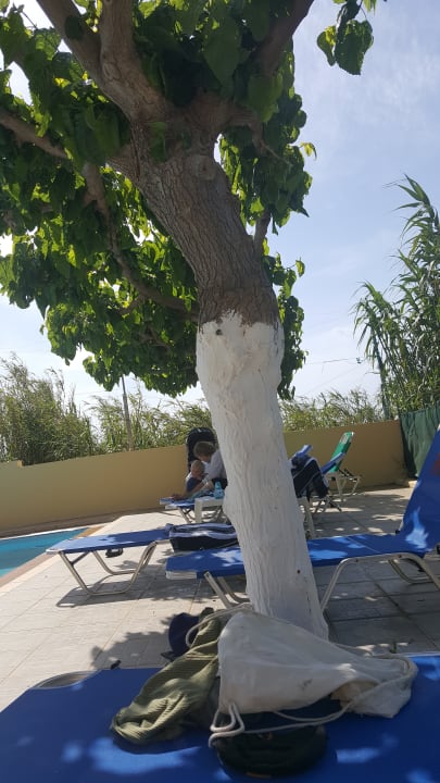 Pool Apartments Keti