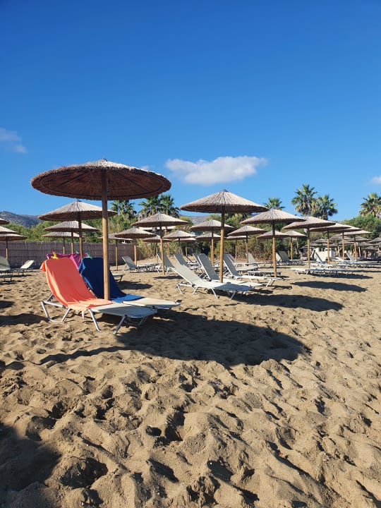 Strand allsun Hotel Carolina Mare