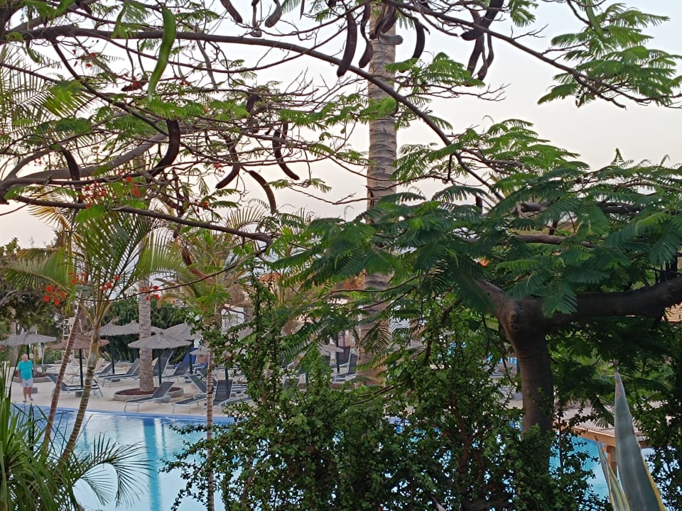 Pool allsun App.-Hotel Esquinzo Beach