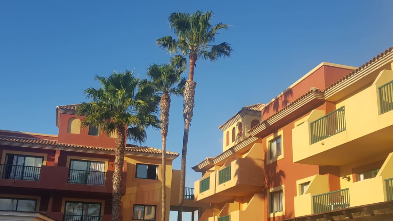 Außenansicht BLUESEA Aloe Corralejo