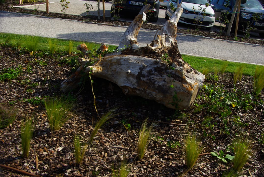 Sonstiges Lino delle Fate - Eco Village Resort