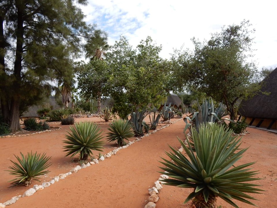 Weg zu den Bungalows Bitterwasser Lodge & Flying Centre