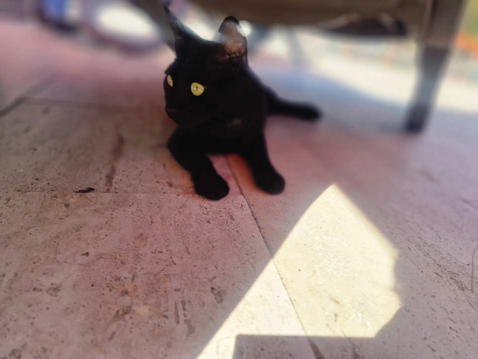 Gartenanlage Kilikya Palace Göynük