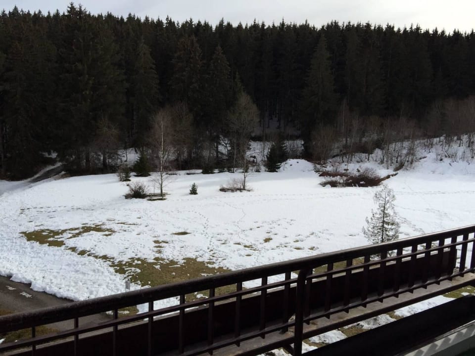 Ausblick vom Balkon Schwarzwaldhotel Ruhbühl