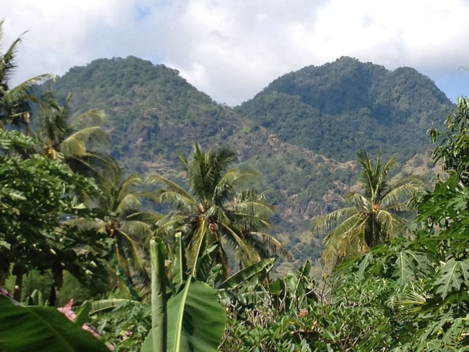 Blick auf die Berge im Hintergrund Tirtasari Bungalows