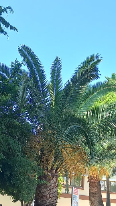 Pool Asteria Collection Side