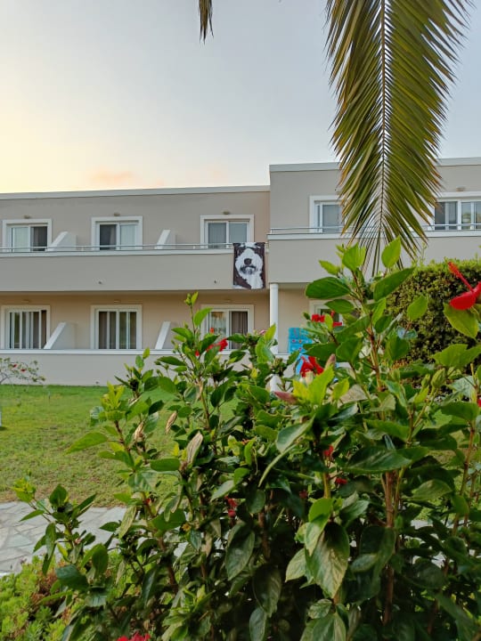 Gartenanlage Hotel Esperia