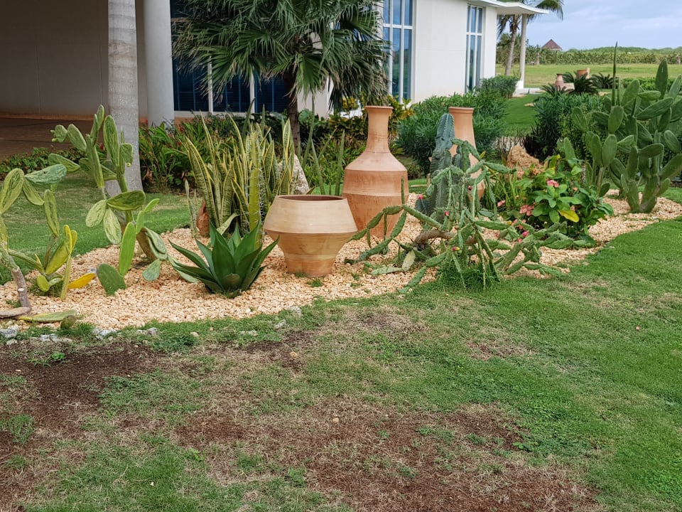 Gartenanlage Meliá Internacional Varadero