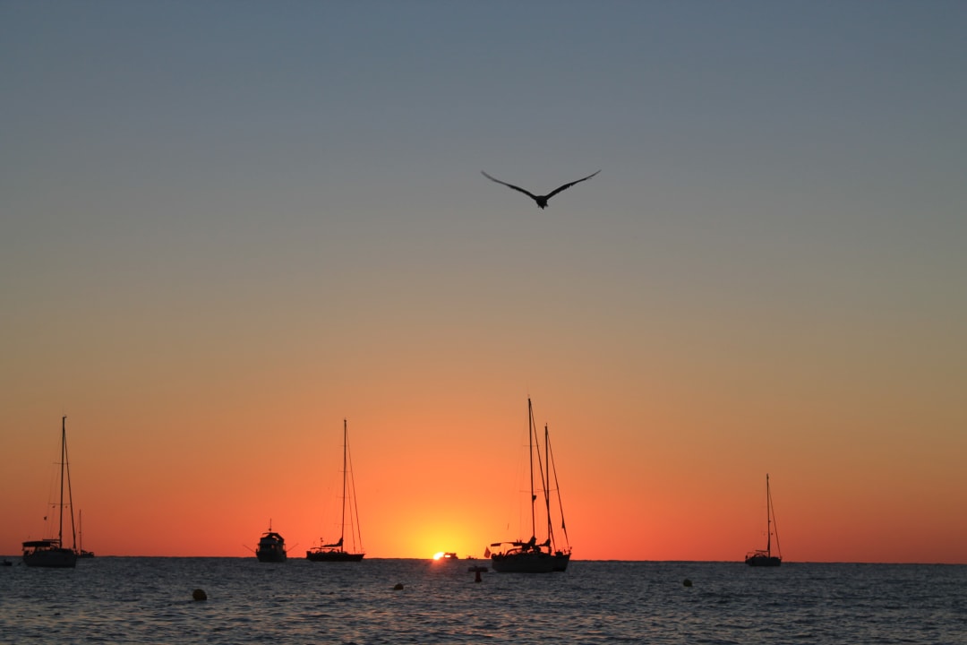 Strand Hotel-Apartamentos Blau Parc