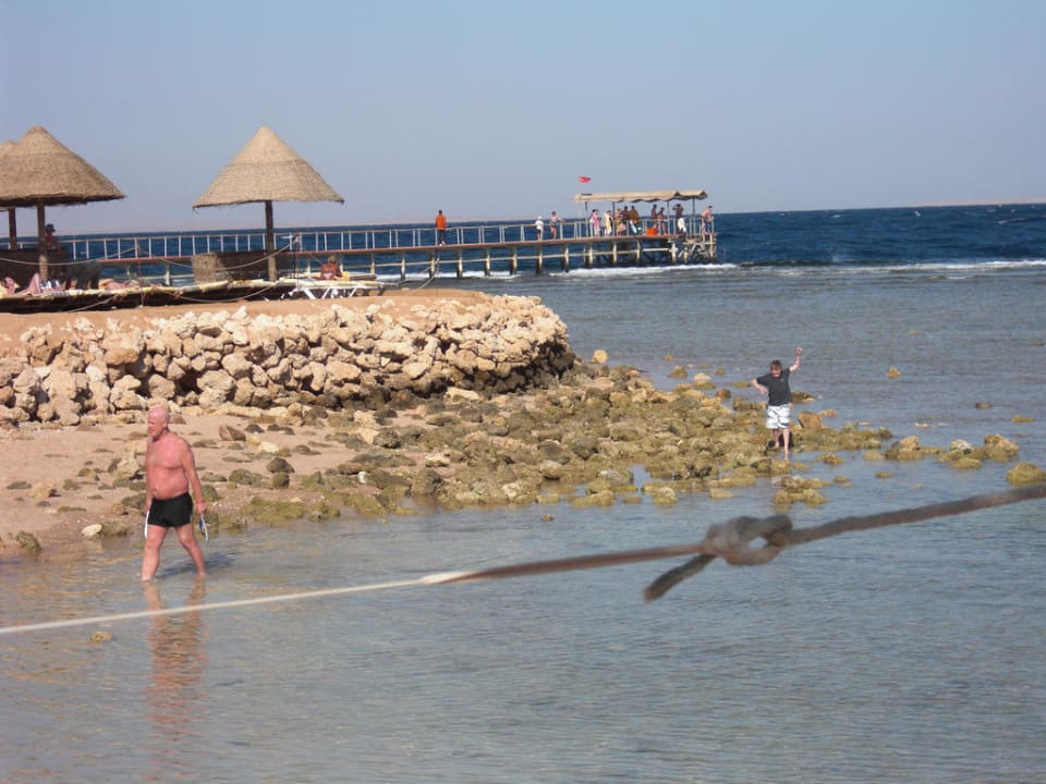 Die Badebucht Parrotel Beach Resort