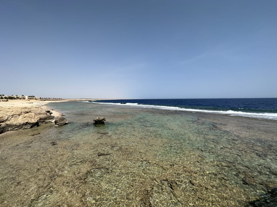 Strand Steigenberger Resort Alaya Marsa Alam - Red Sea - Adults only