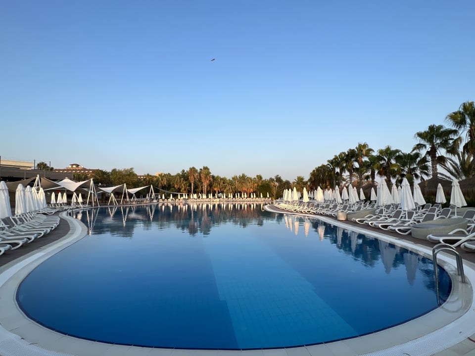 Pool Paloma Oceana
