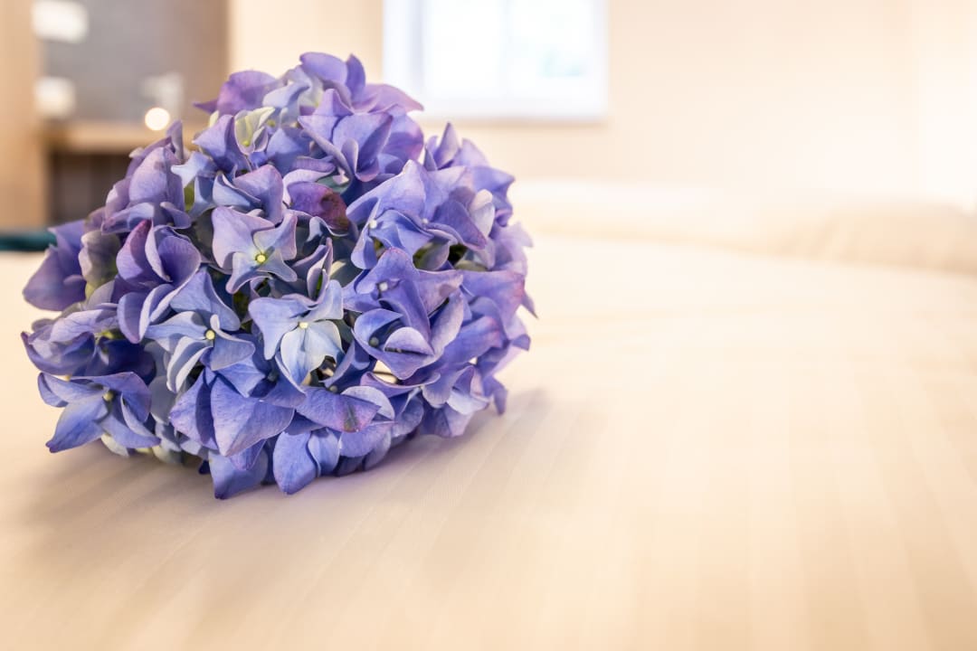 Sonstiges Villa Sachsenhof