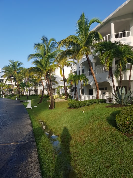 Außenansicht Meliá Caribe Beach Resort-All Inclusive