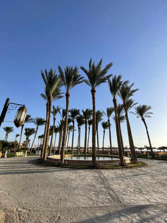 Außenansicht Makadi Spa - Adults only