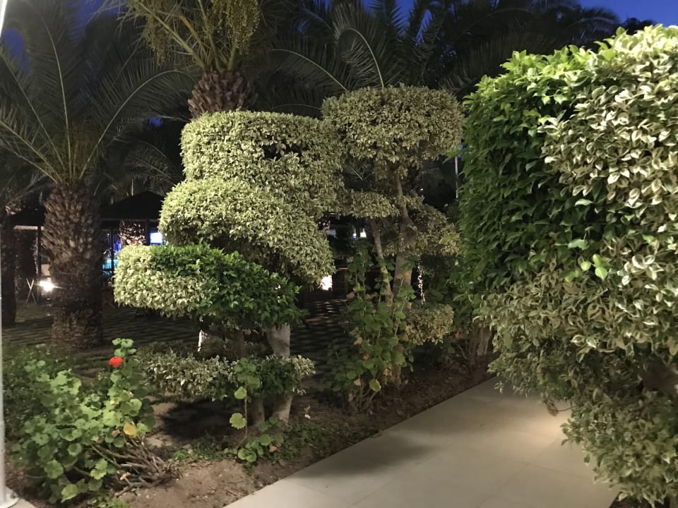 Garten The GrandResort By Leonardo Hotels