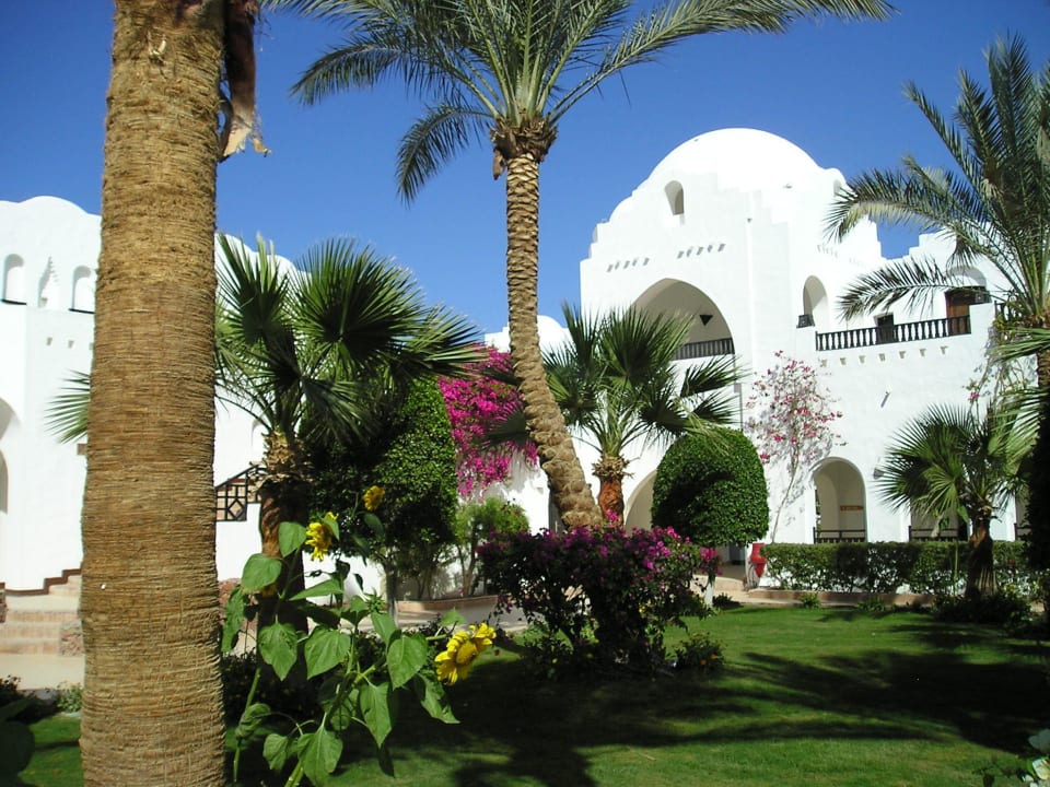 Prachtige tuin op het complex in Februari Arabella Azur Resort