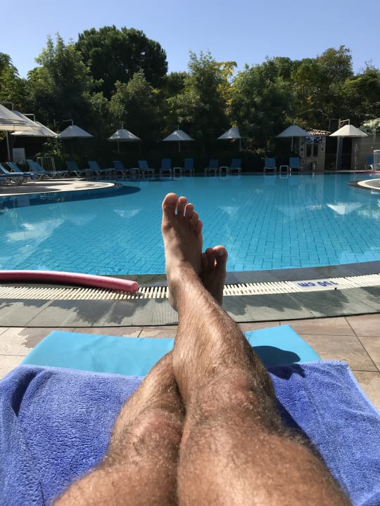 Pool Can Garden Beach