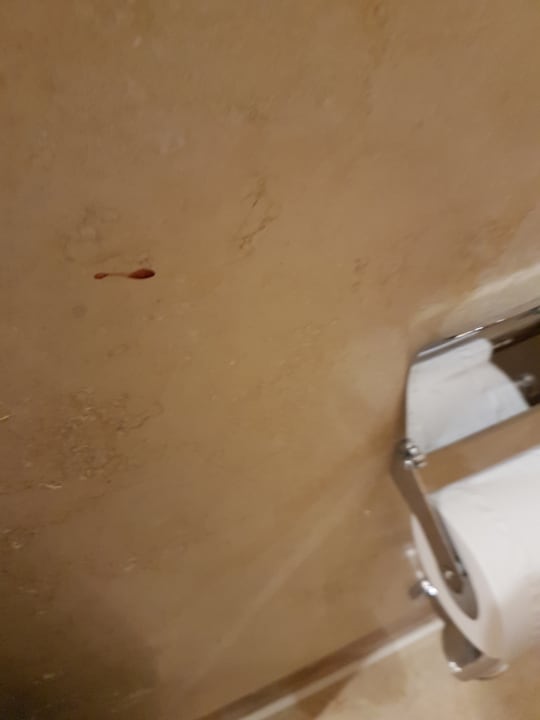 Lobby JAZ Belvedere Resort