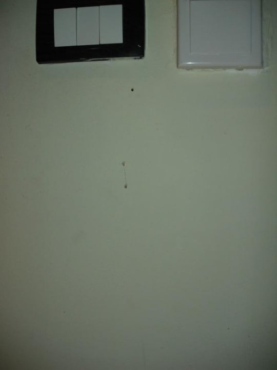 Flecken Pickalbatros Palace Resort