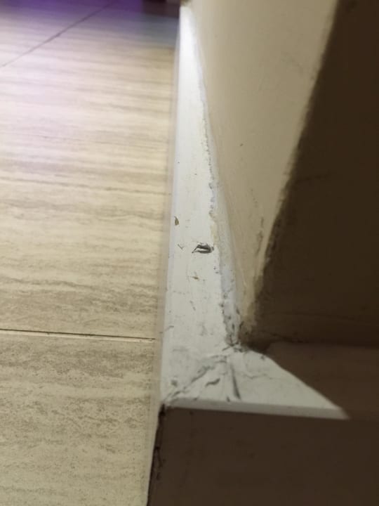 Nach Zimmerreinigung Crystal Sunset Pearl Collection