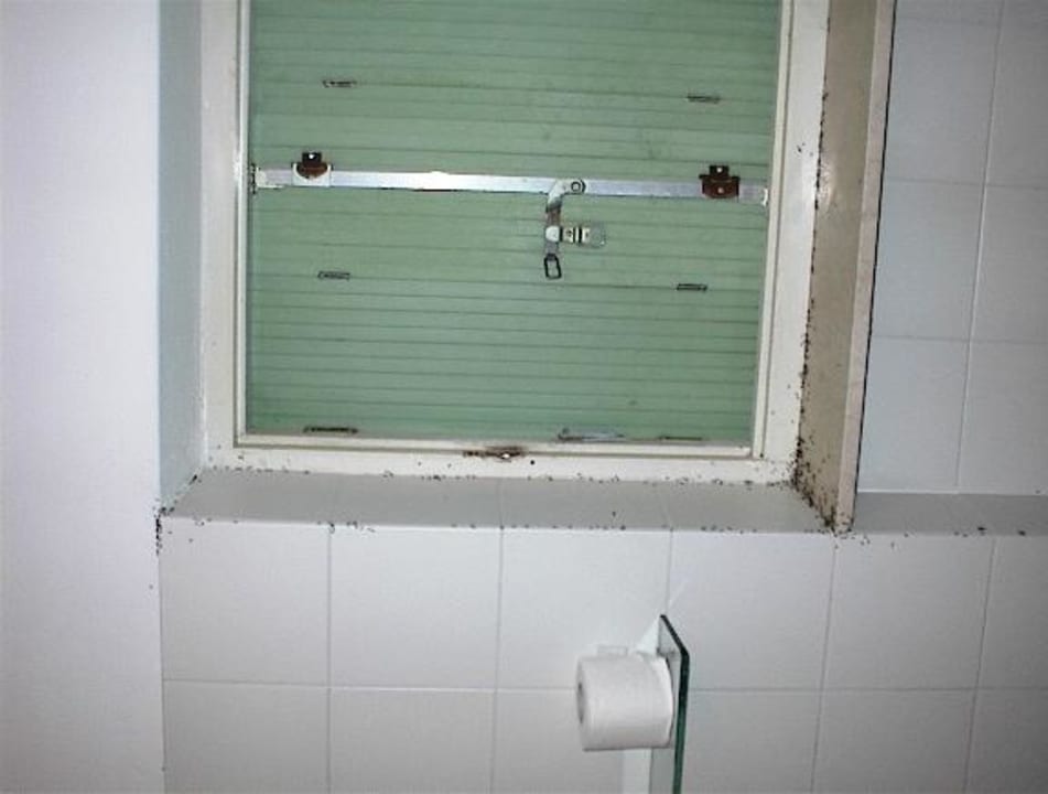 Toilette Innenansicht Residence Parco del Garda