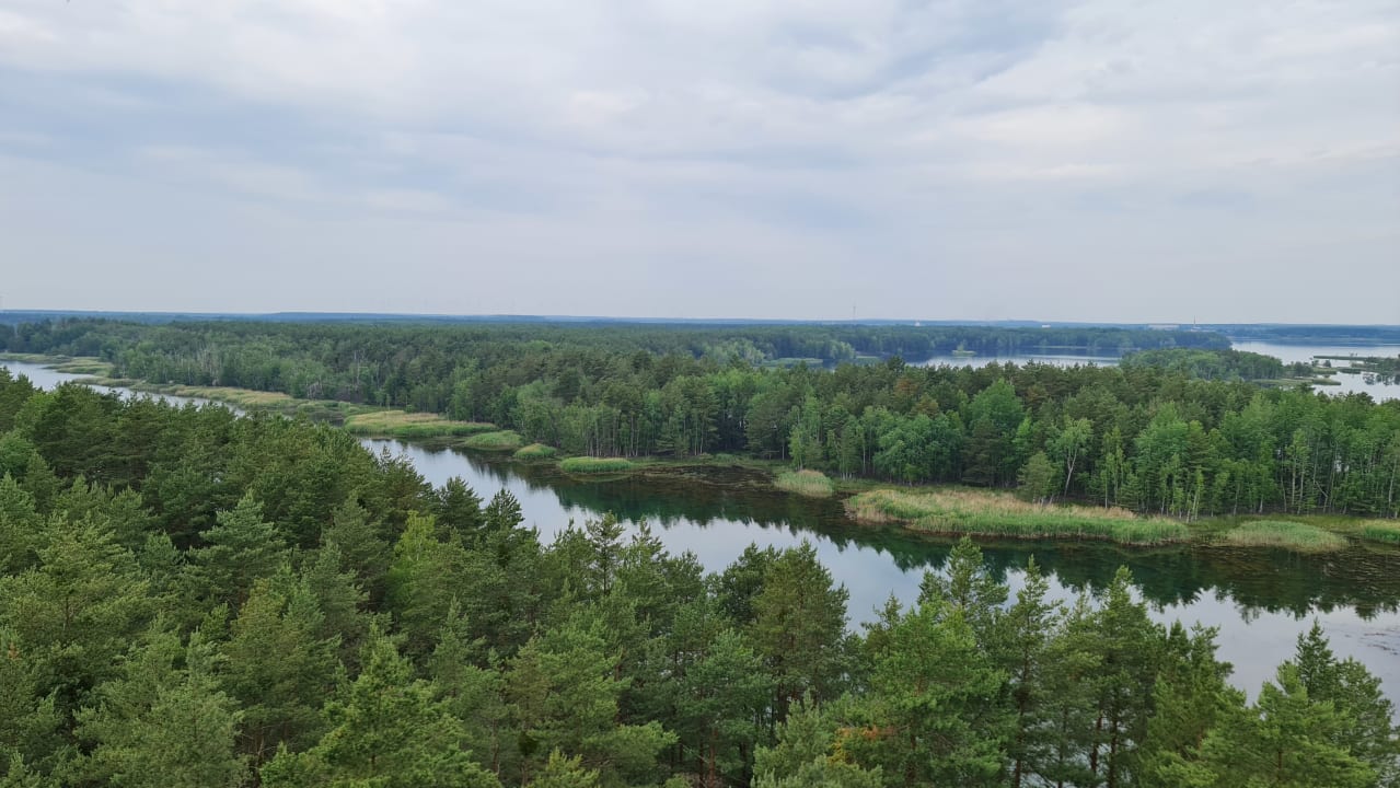Ausblick Familienpark Senftenberger See
