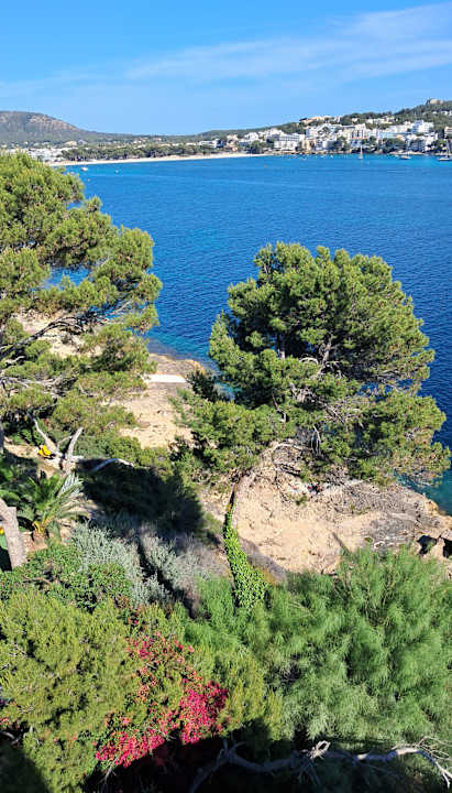 Ausblick Sentido Fido Punta del Mar – Adults only