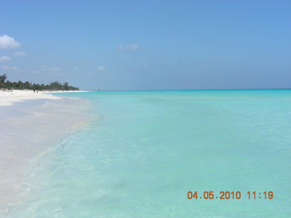 Strand Starfish Cuatro Palmas