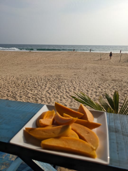 Gastro Palm Beach Guesthouse