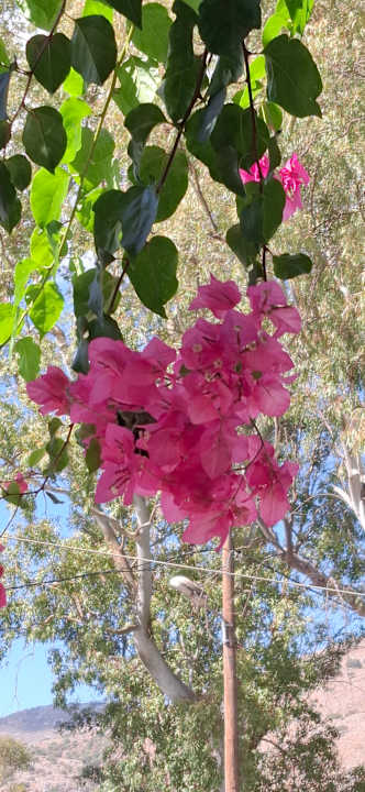 Gartenanlage Mythos Palace Resort & Spa