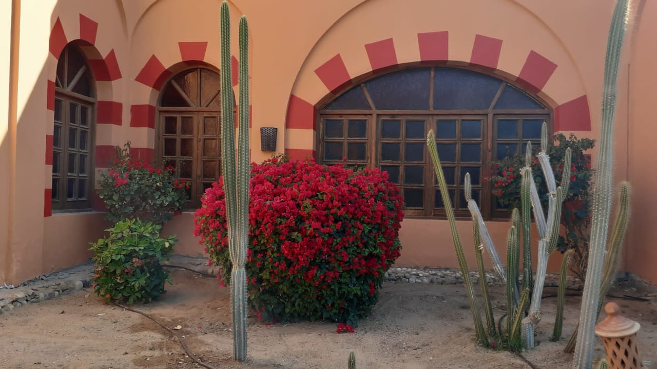 Gartenanlage Jaz Makadi Oasis Resort