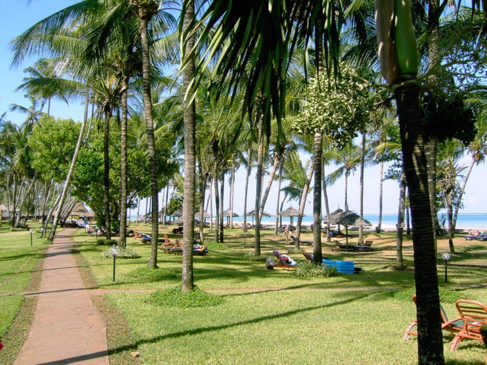 Liegewiese Neptune Paradise Beach Resort & Spa